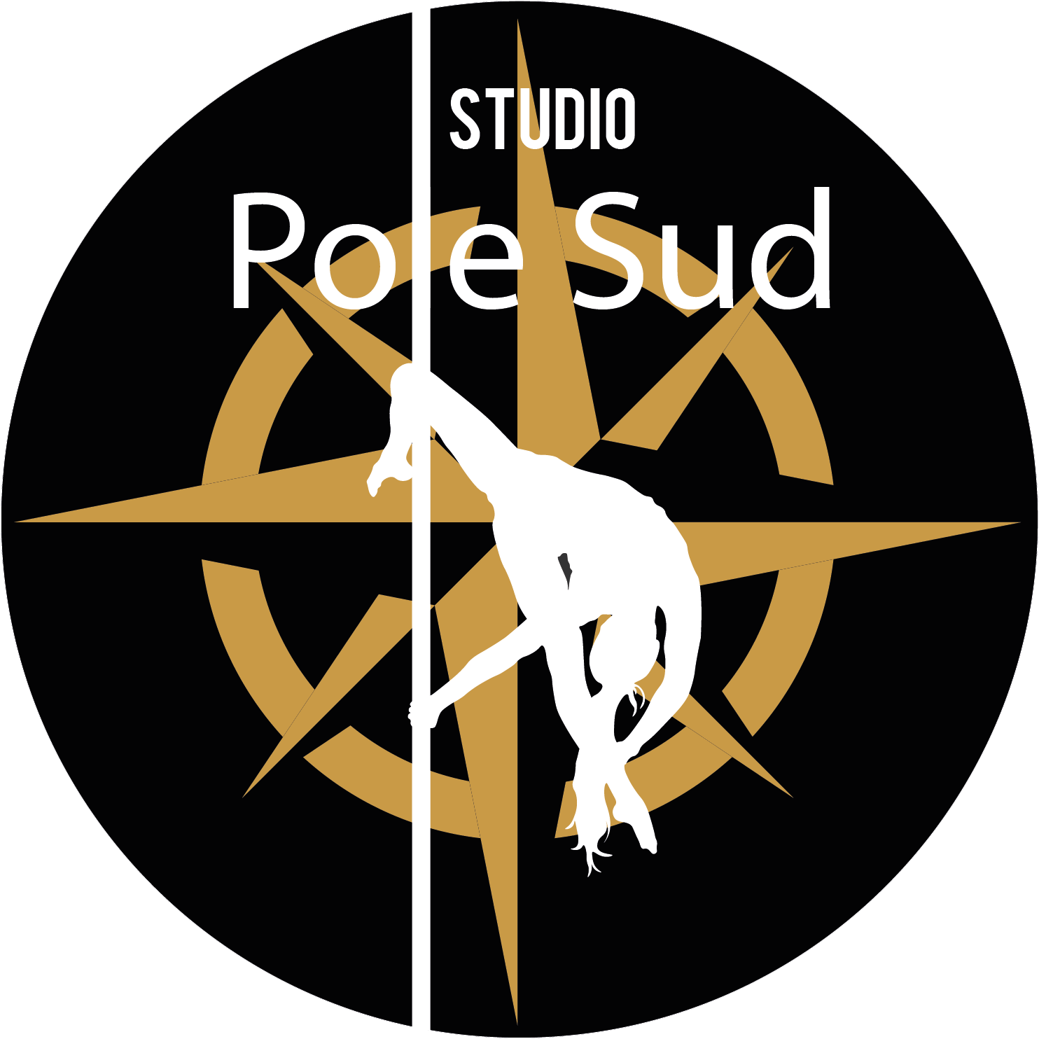 Studio Pole Sud