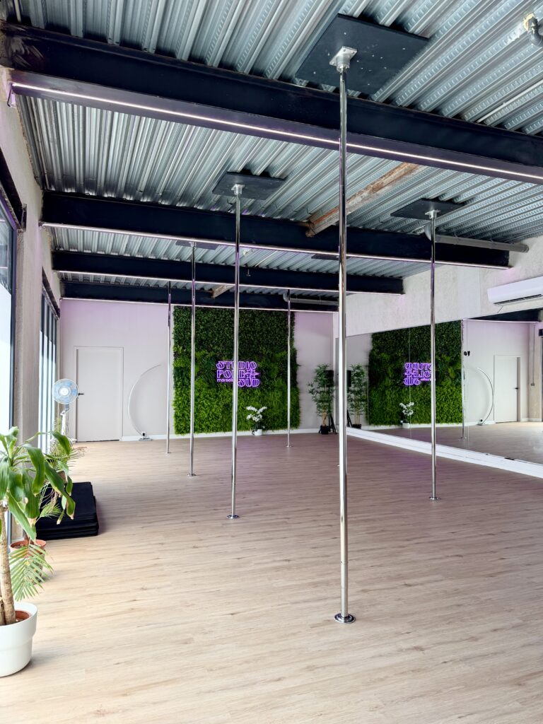 Salle de pole dance du Studio Pole Sud à Marseille 5e